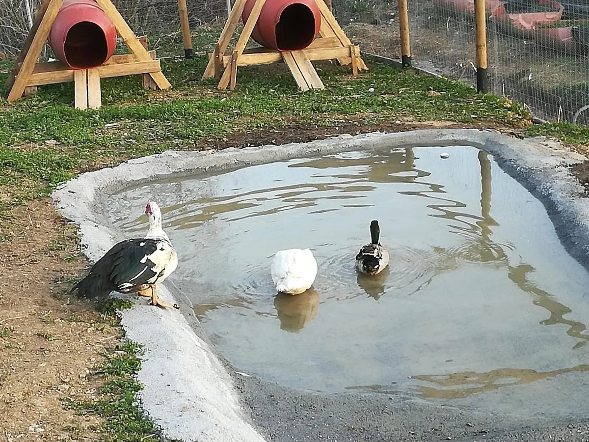 Luxusní stan Hotel Agricampeggio U Beriun Onzo