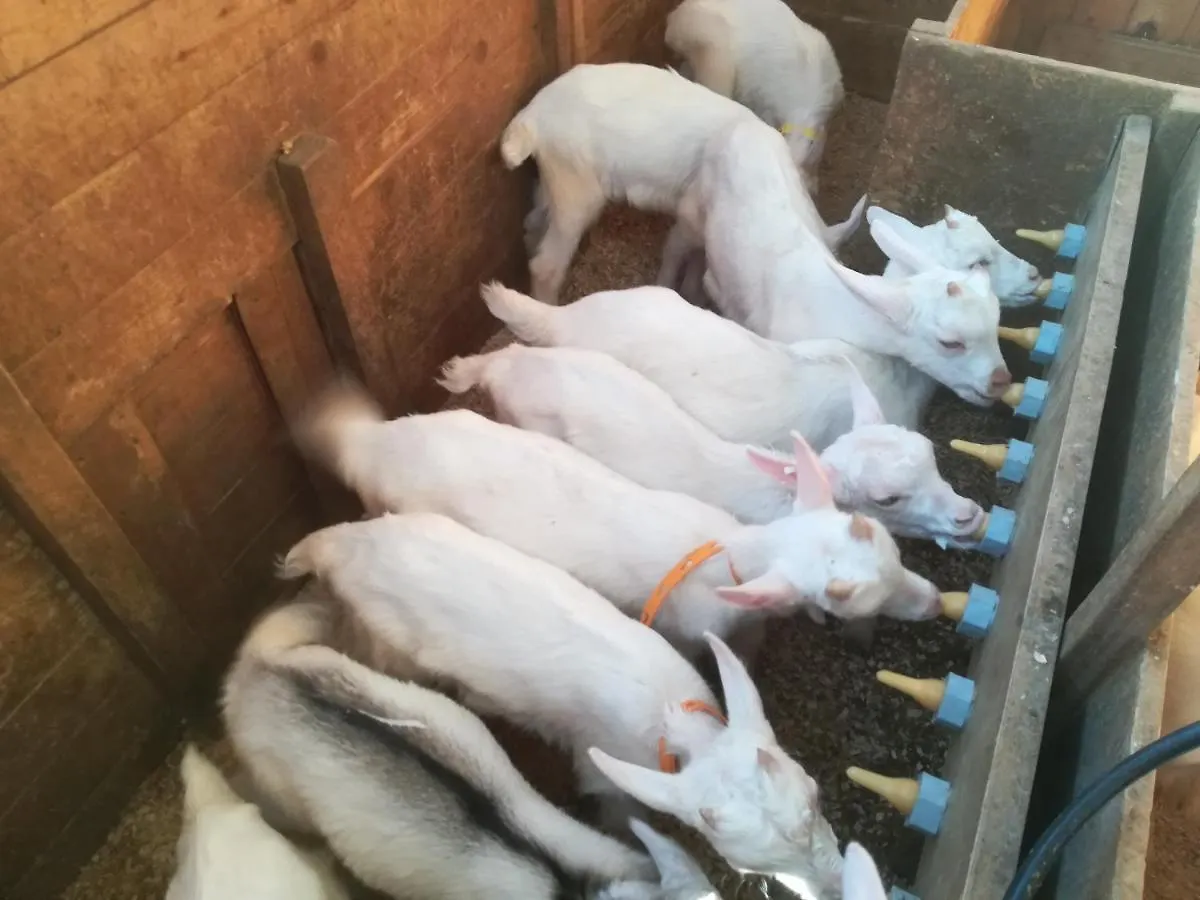 Luxusní stan Hotel Agricampeggio U Beriun Onzo Itálie